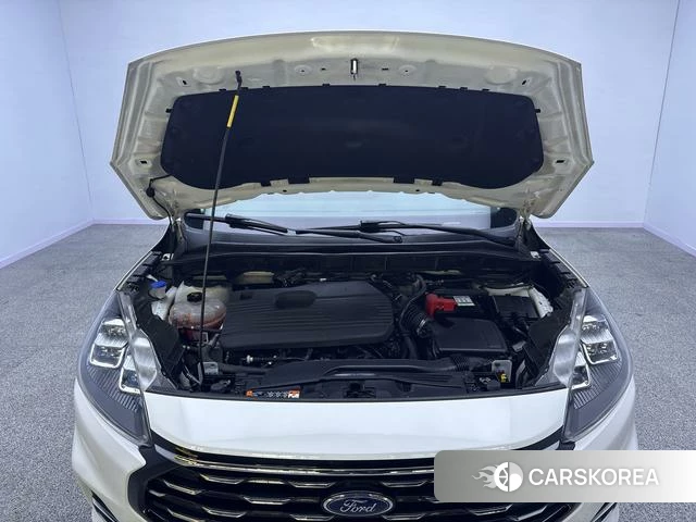 Ford Ruiji id 4238442 из Китая 16