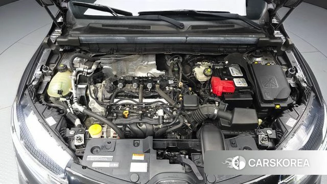 Renault Korea (Samsung) XM3 id 4677296 из Кореи 28