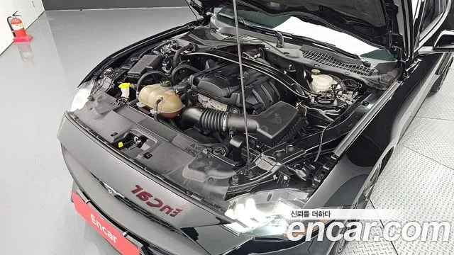 Ford Mustang id 2917835 из Кореи 16