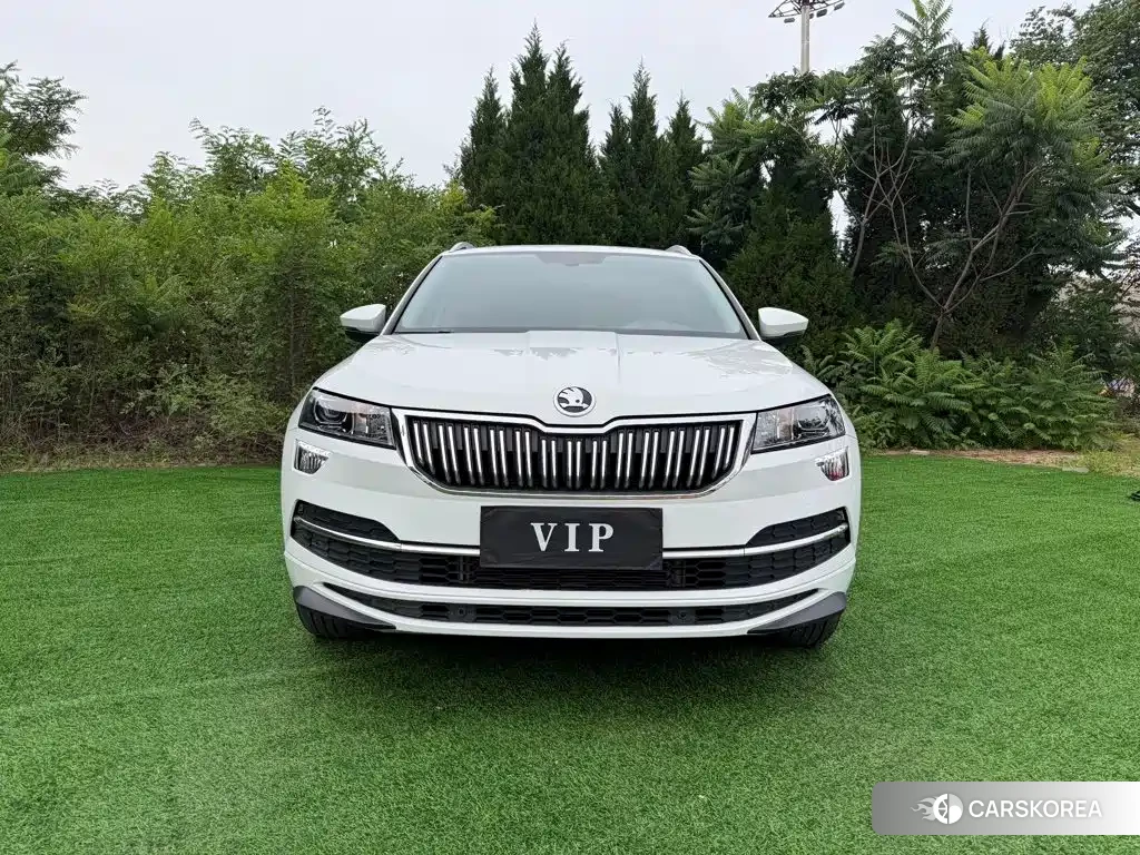 Skoda Krok id 4576506 из Китая 11