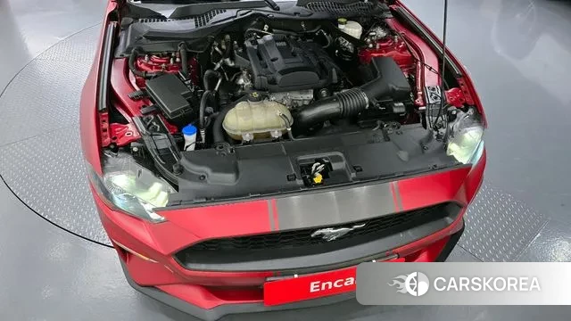 Ford Mustang id 3038218 из Кореи 16