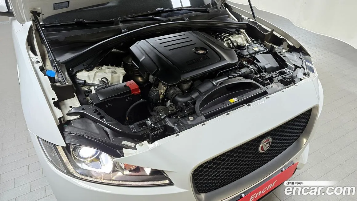 Jaguar F-PACE id 2115814 из Кореи 16