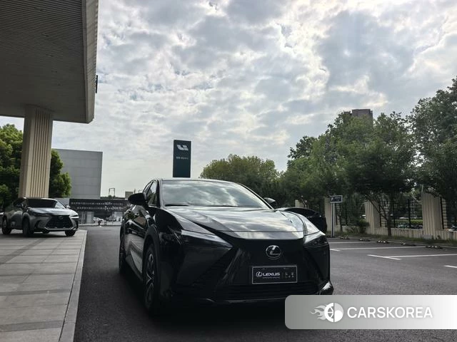 Lexus RZ id 4274198 из Китая 13