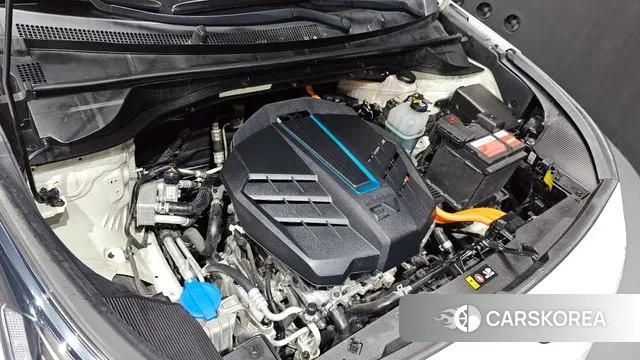 Kia Niro EV id 3018643 из Кореи 16