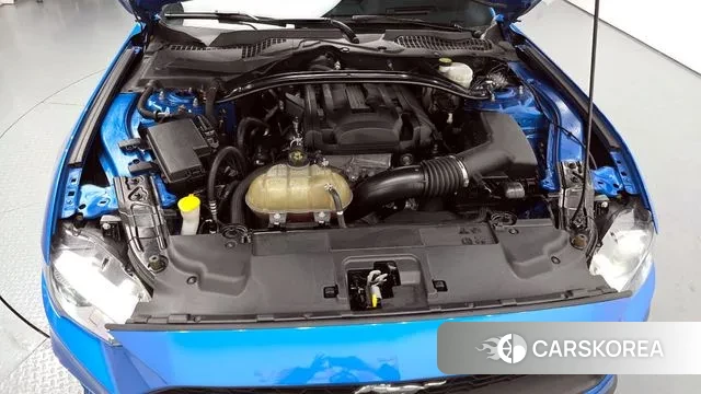 Ford Mustang id 3434337 из Кореи 16