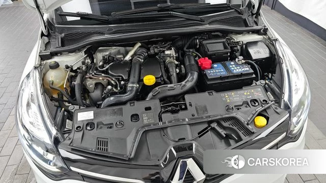 Renault Korea (Samsung) Clio id 4562906 из Кореи 31