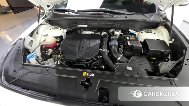 Hyundai The New Santa Fe id 3043603 из Кореи 16