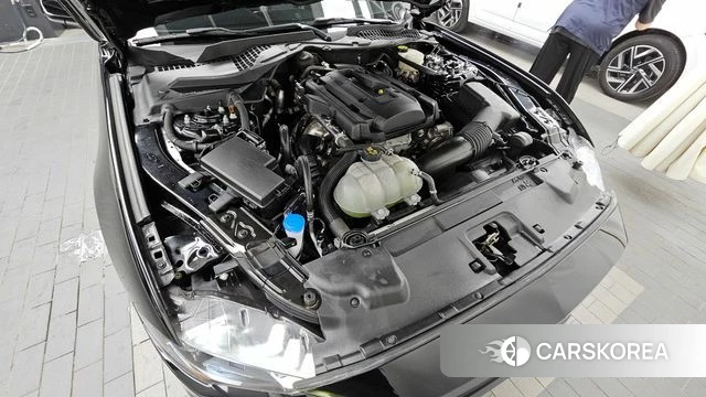 Ford Mustang id 4401445 из Кореи 31