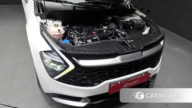 Kia Sportage 5th Generation id 3401128 из Кореи 16