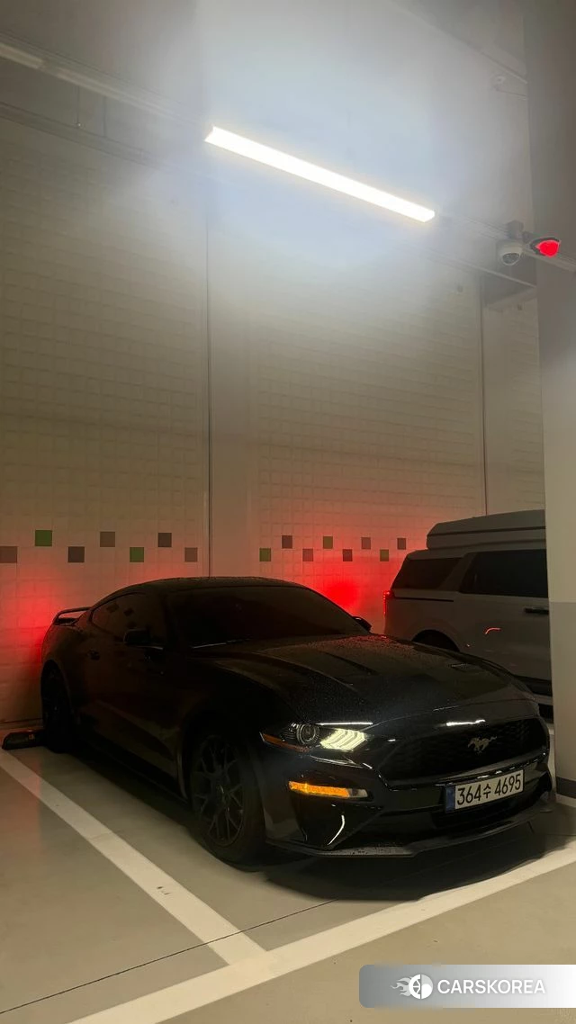 Ford Mustang id 4490805 из Кореи 7