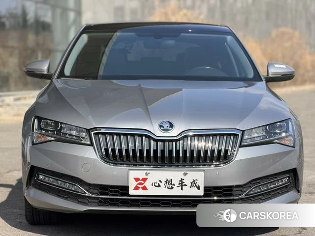 Skoda Speed pie id 4207761 из Китая 31
