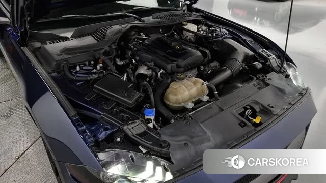 Ford Mustang id 3084871 из Кореи 16