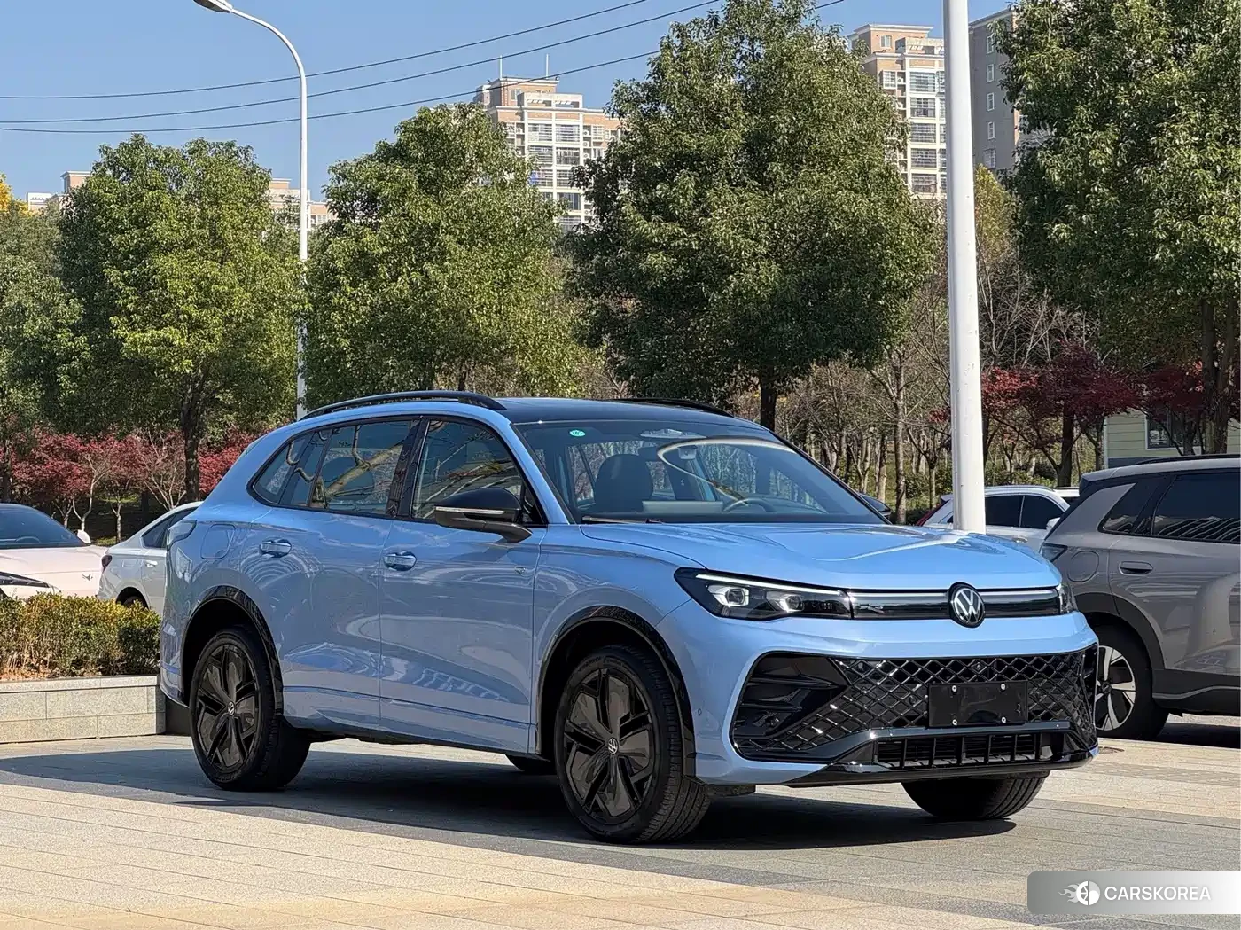 Volkswagen Tiguan L 2024 Синий из Китая, фото 6