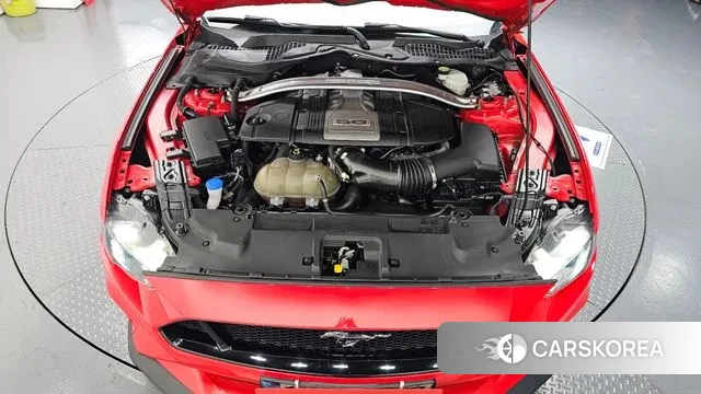 Ford Mustang id 3479281 из Кореи 16