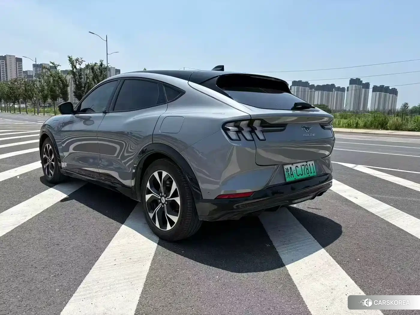 Ford Electric horse 2024 Silver/gray из Китая, фото 6