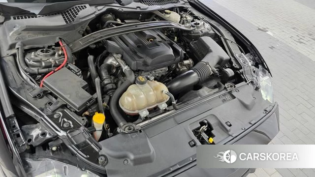 Ford Mustang id 4447903 из Кореи 16
