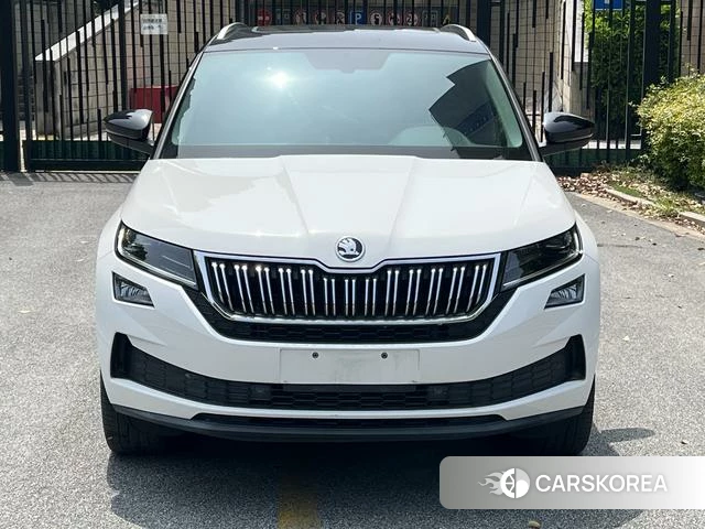 Skoda Kodiak GT id 4211547 из Китая 12