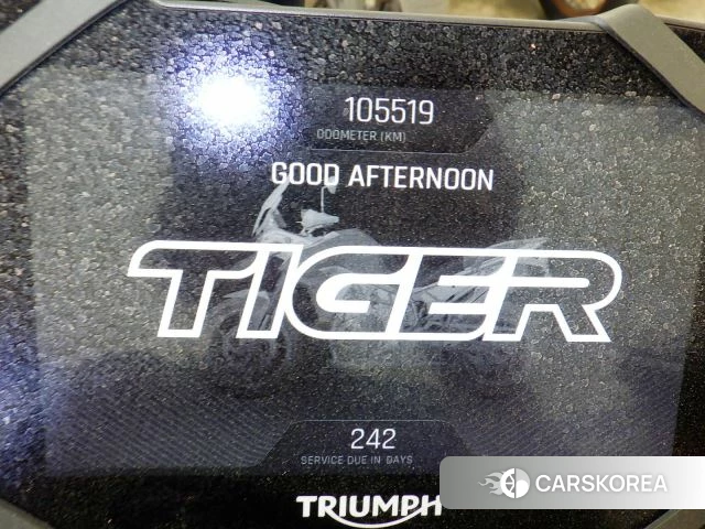 Triumph TIGER 900 RALLY PRO id 3946624 из Японии 22