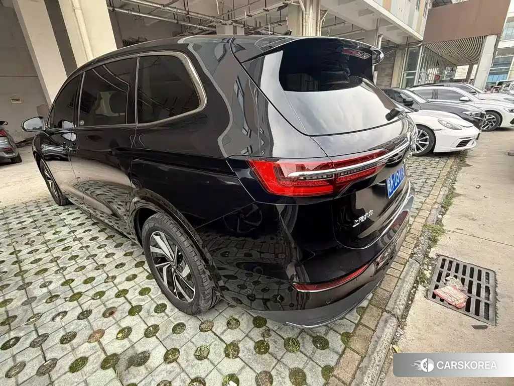 Volkswagen Viloran 2024 Черный из Китая, фото 6
