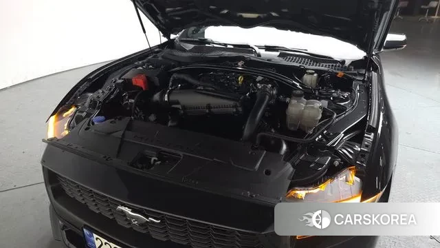 Ford Mustang 7th Generation id 3739446 из Кореи 16