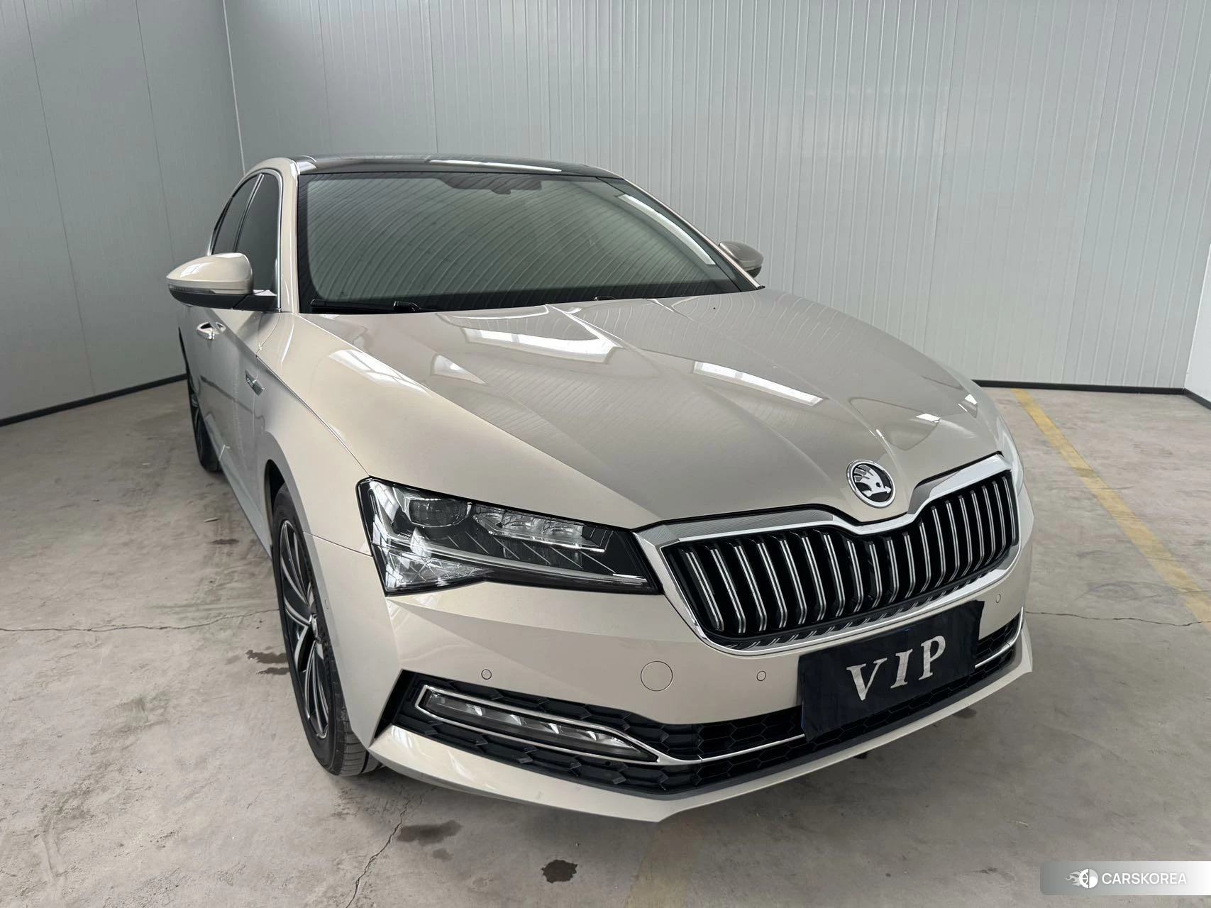 Skoda Speed pie id 4426497 из Китая 19