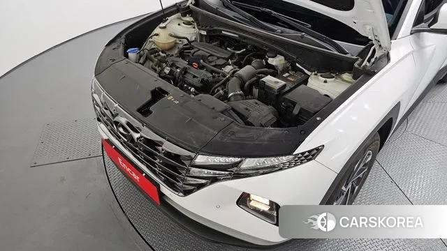 Hyundai Tucson (NX4) id 3671722 из Кореи 16