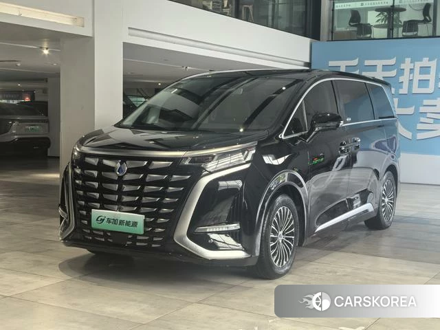 Denza D9 DM 2024 Черный из Китая, фото 6