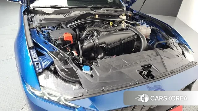 Ford Mustang 7th Generation id 3769679 из Кореи 16