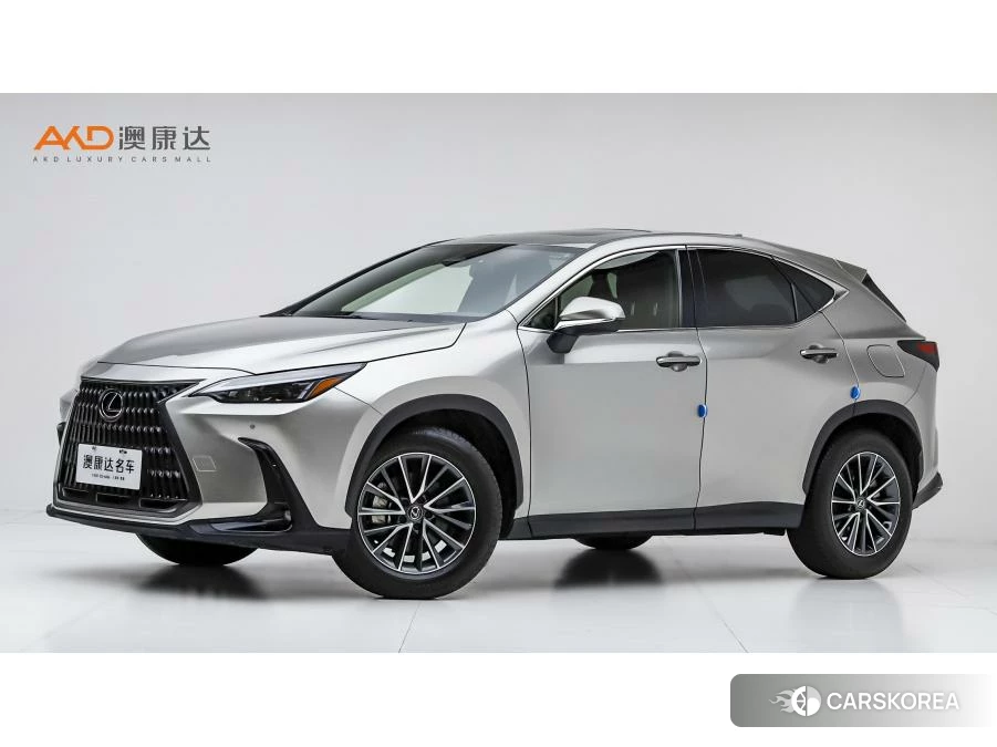 Lexus NX 2023 Серебристо-серый из Китая, фото 6