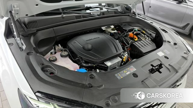 Renault Korea (Samsung) Grand Coleos id 3850211 из Кореи 16