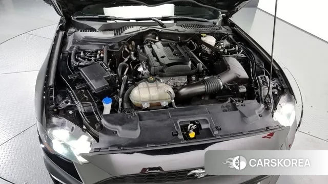 Ford Mustang id 2980538 из Кореи 16