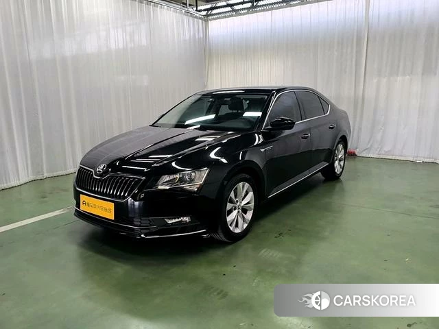 Skoda Speed pie id 4211522 из Китая 16