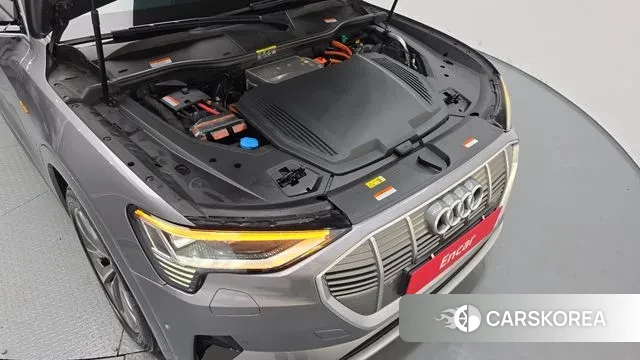 Audi e-Tron id 3540895 из Кореи 16