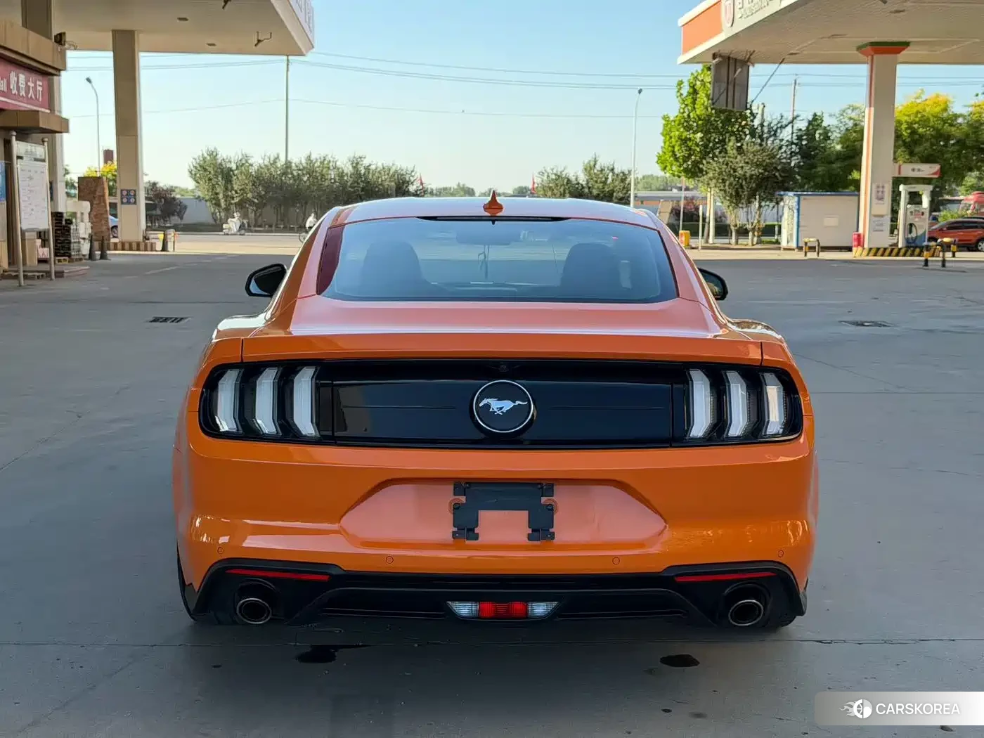 Ford Mustang id 4653871 из Китая 11