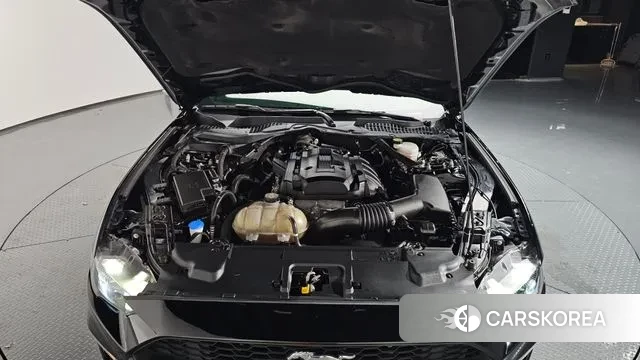 Ford Mustang id 3008509 из Кореи 16