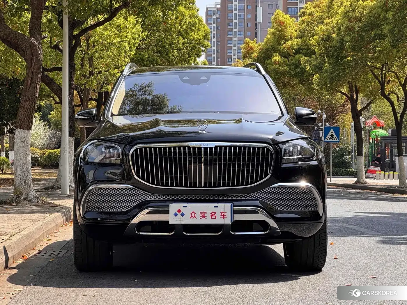 Mercedes-Benz Maybach GLS 2023 Черный из Китая, фото 6
