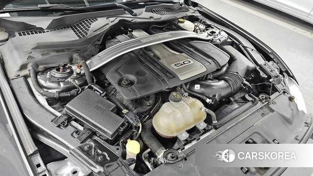 Ford Mustang id 4525577 из Кореи 29
