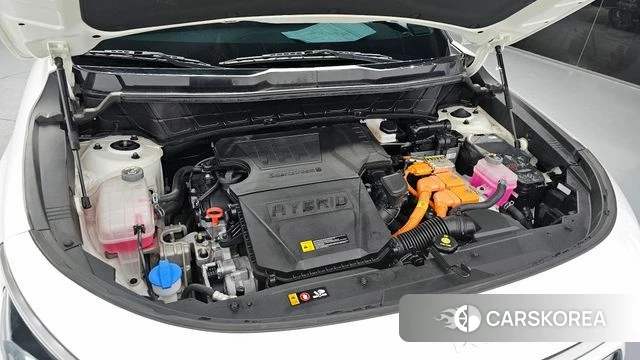 Kia Di Ol Nu Niro id 4409299 из Кореи 27