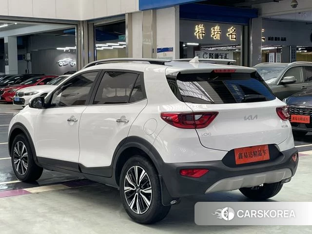 Kia Yi Ran id 4273899 из Китая 11
