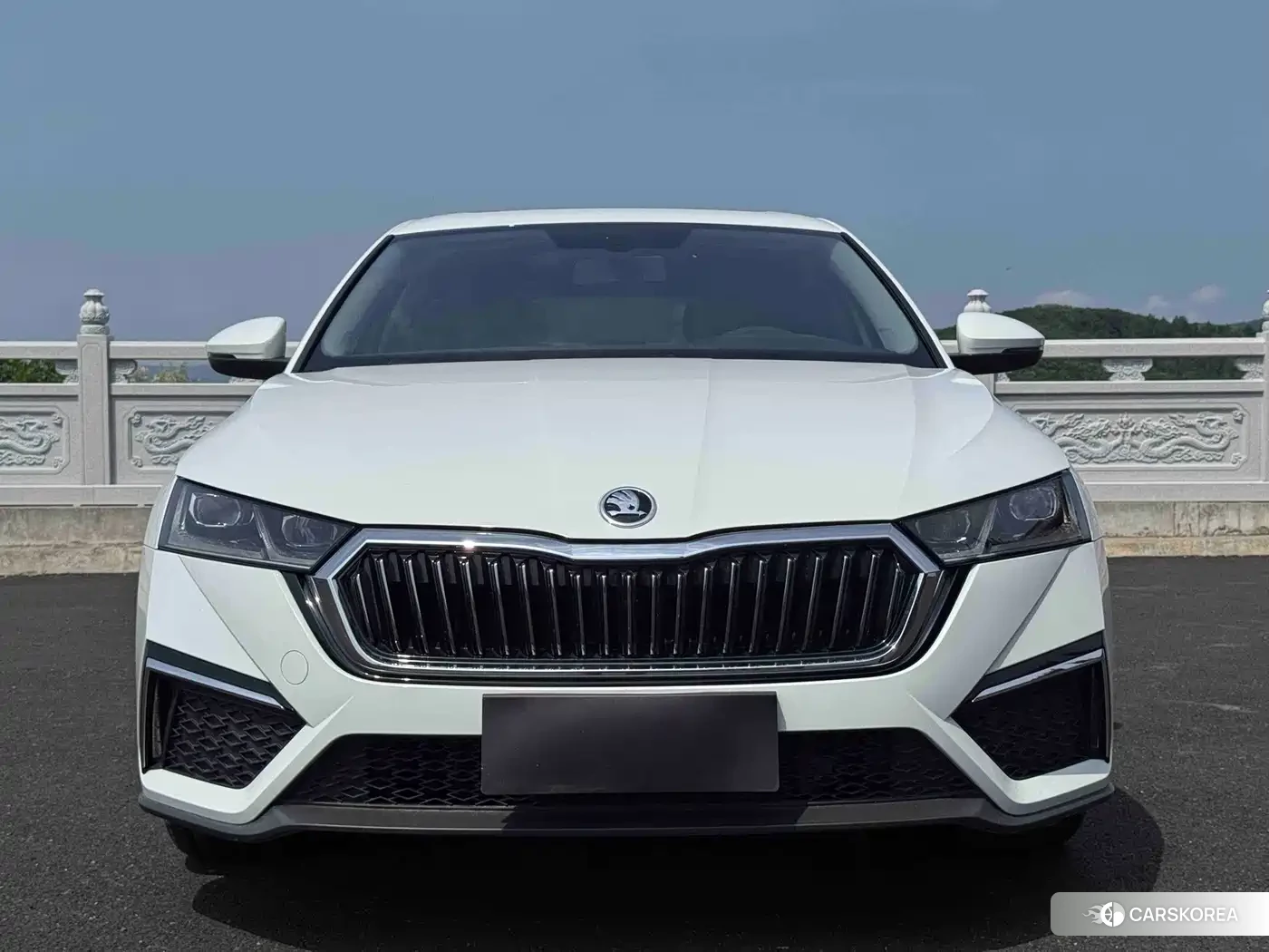 Skoda Octavia id 4600553 из Китая 20