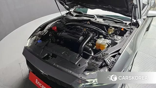 Ford Mustang 7th Generation id 3299647 из Кореи 16