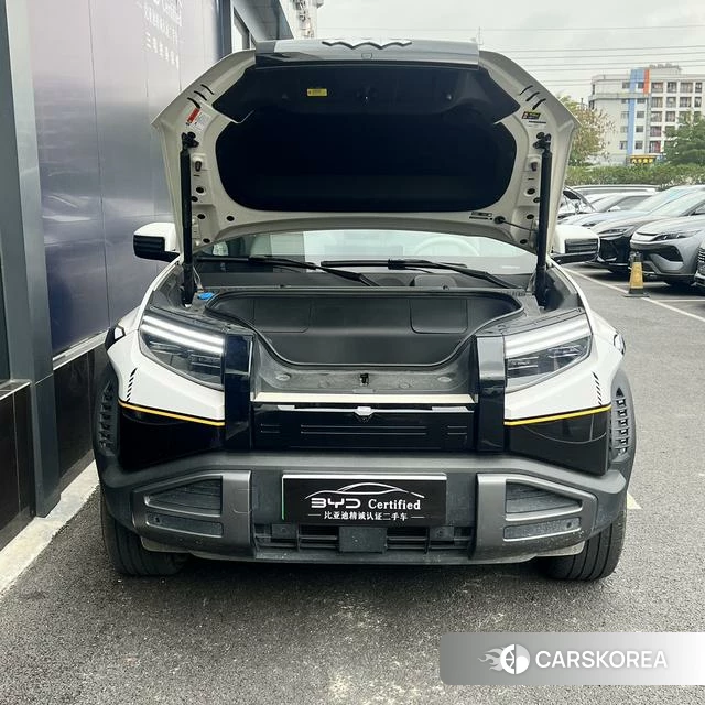 Leopard Titanium 3 id 3957863 из Китая 8