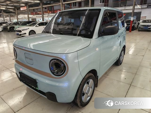 Geely Galaxy panda 2025 Другой из Китая, фото 6