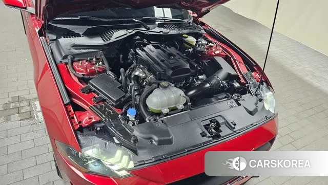 Ford Mustang id 2883997 из Кореи 16