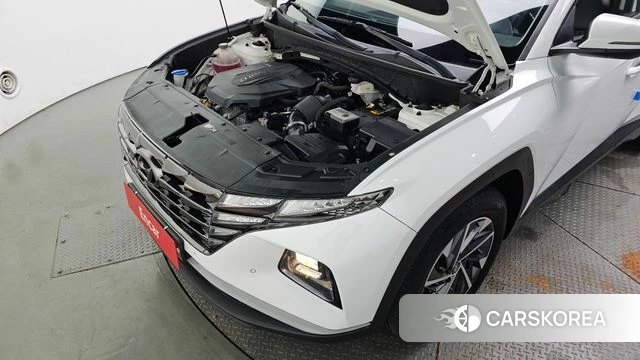 Hyundai Tucson (NX4) id 4918045 из Кореи 16