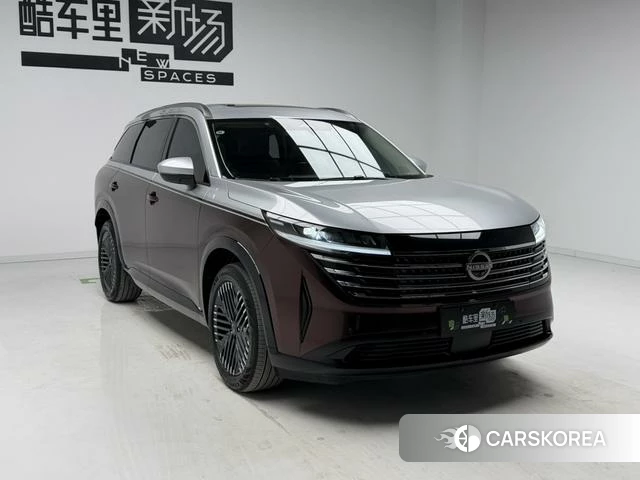Nissan Exploring the land id 4291476 из Китая 14