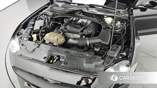 Ford Mustang id 3176918 из Кореи 16