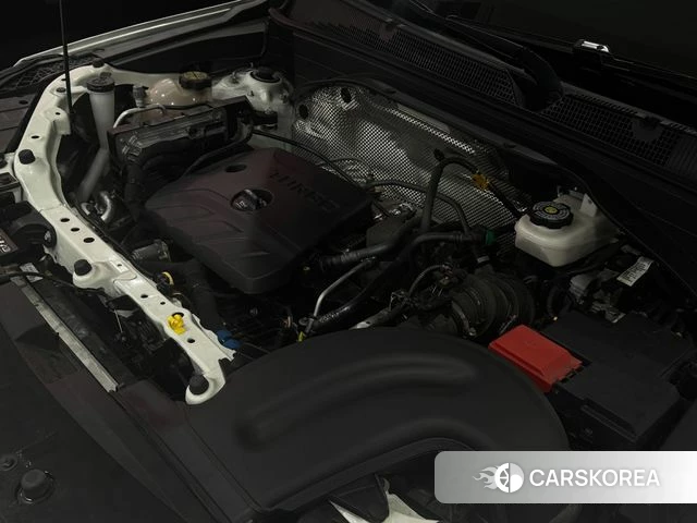 Chevrolet (GM Daewoo) Trailblazer id 4661413 из Кореи 15