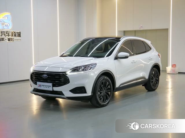 Ford Ruiji id 4221728 из Китая 16