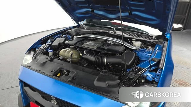 Ford Mustang id 3795439 из Кореи 16